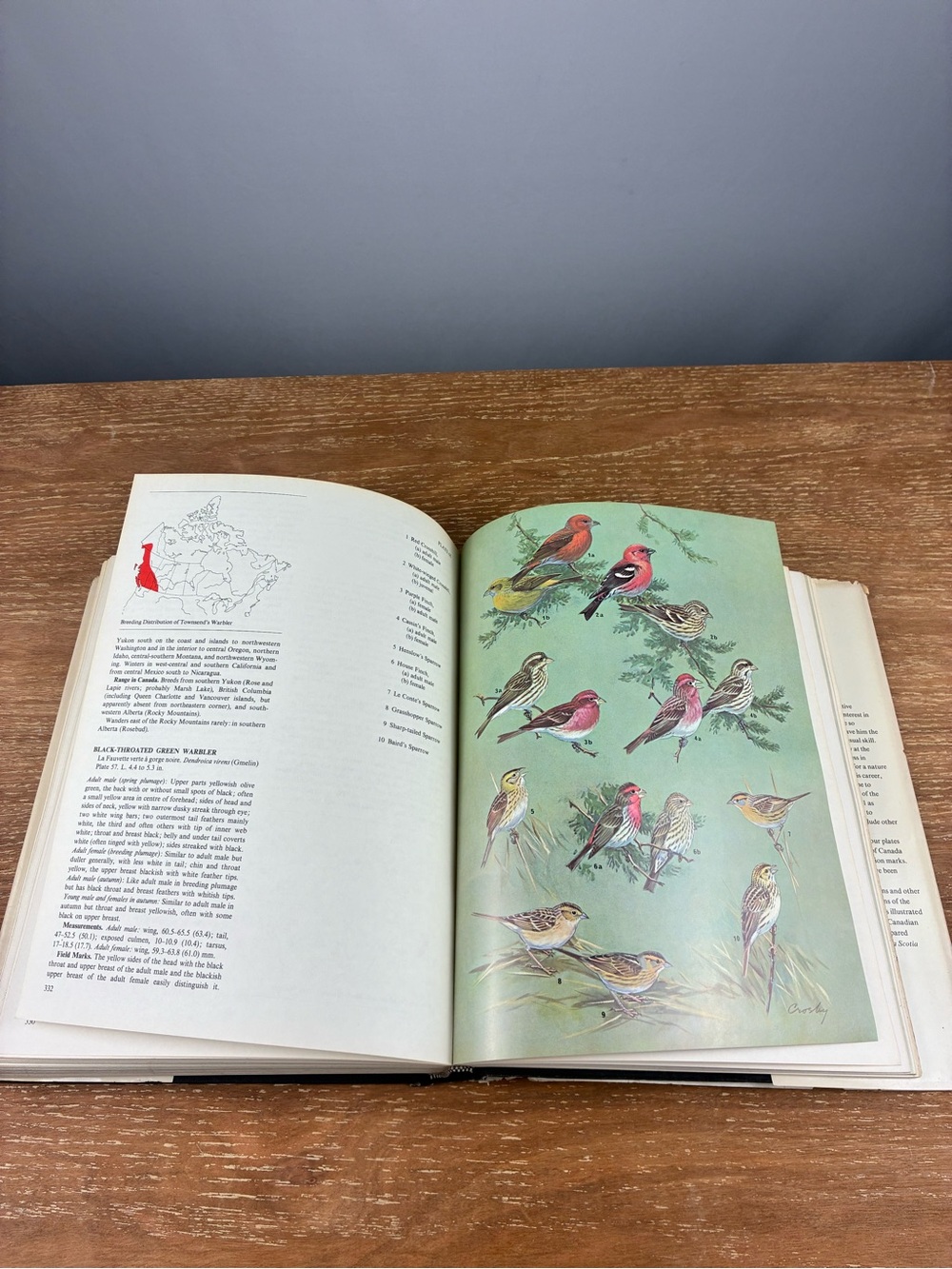 The Birds of Canada by W. Earl Godfrey – Vintage 1966 Hardcover - Picture 13 of 13